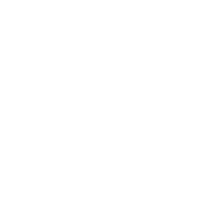Angry Cops