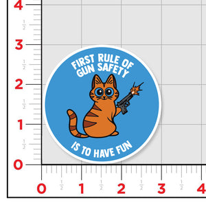 Gun Safety Sticker